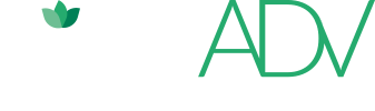 Life ADV - Agenzia di Marketing e Comunicazione